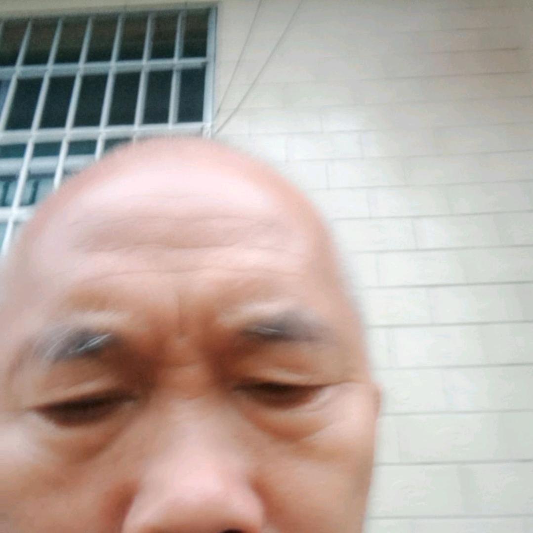 28686338365