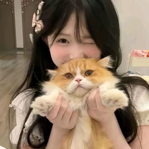 薛豆豆好物种草2