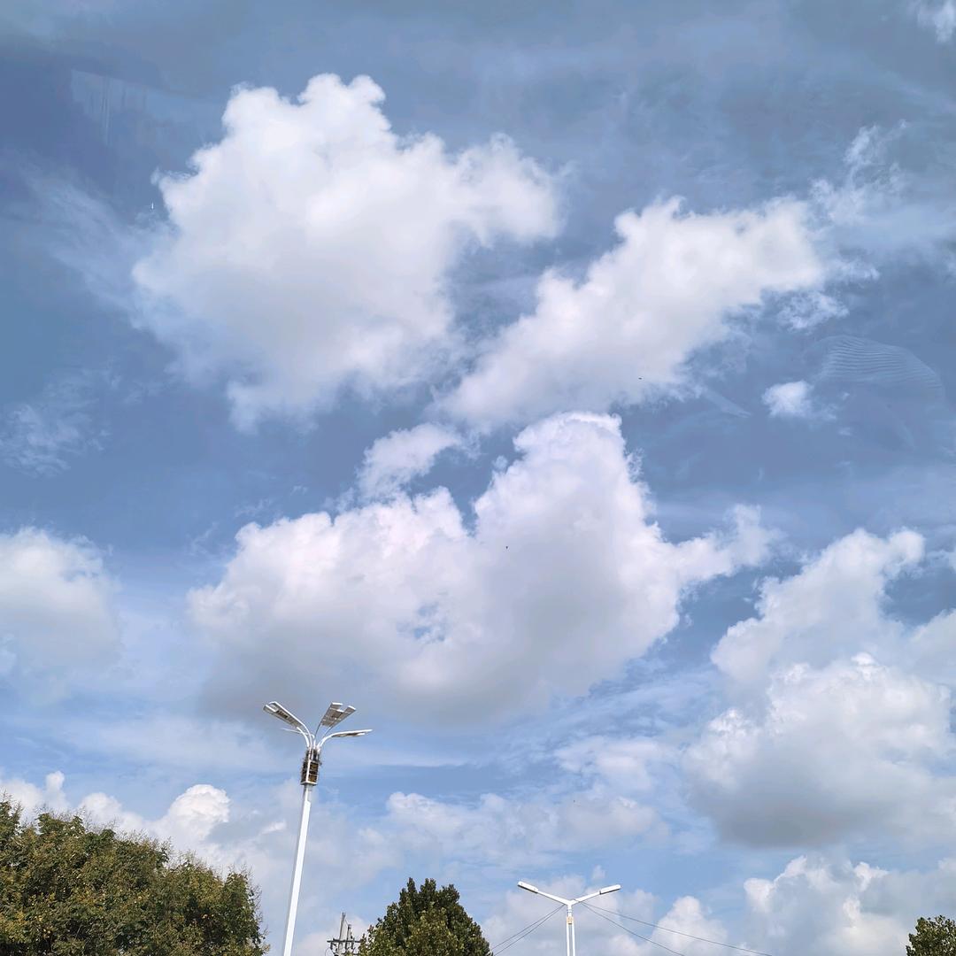 🌻大王🌻小王