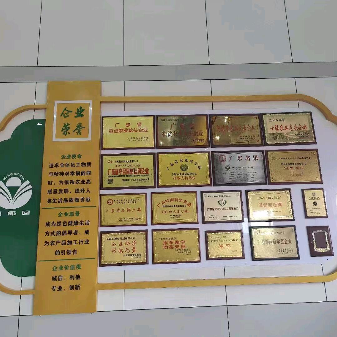 陈振毅