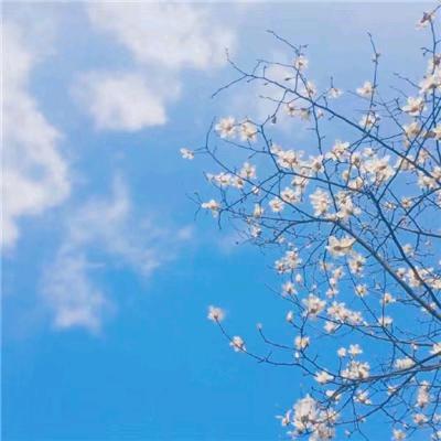伊诺i