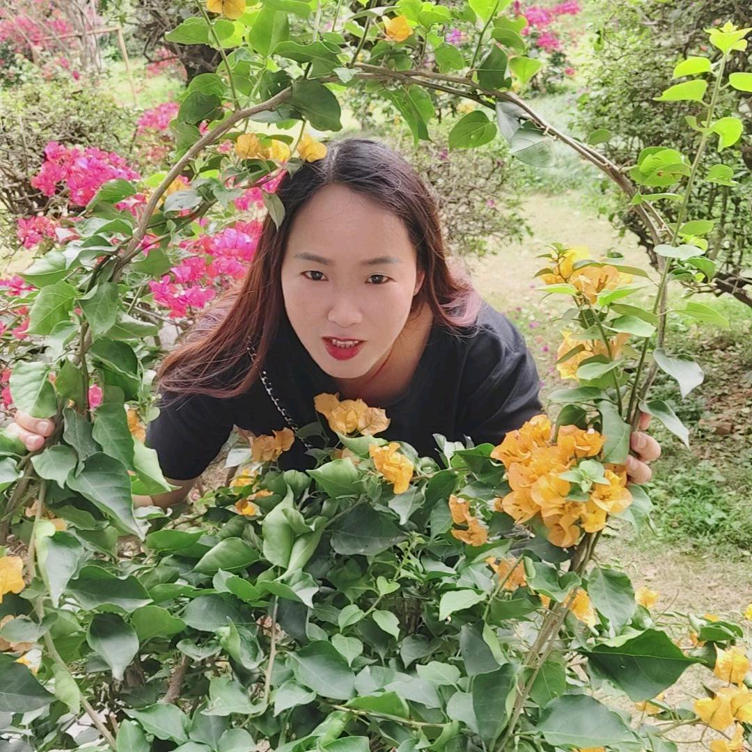 莲妹子