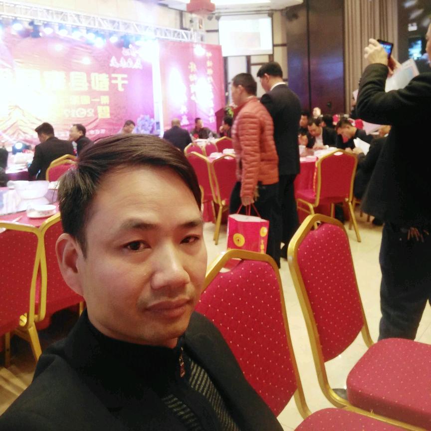 桐桐爸爸