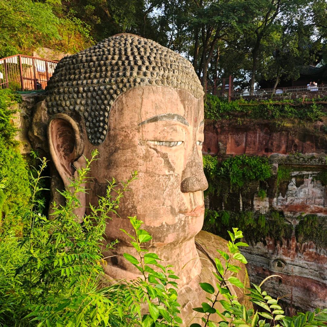 我叫贵哥～都别搭理我