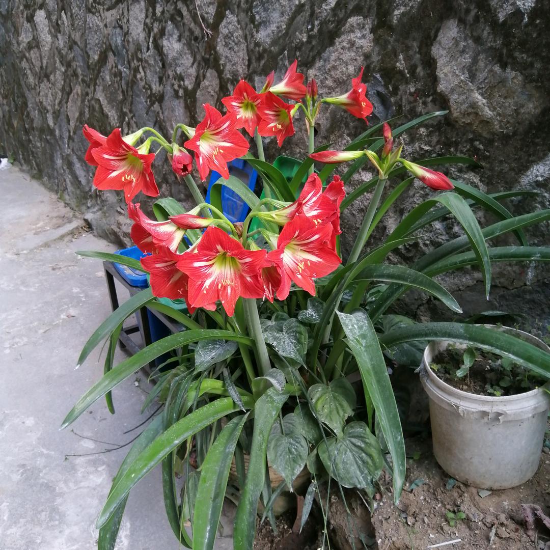 无风不起浪