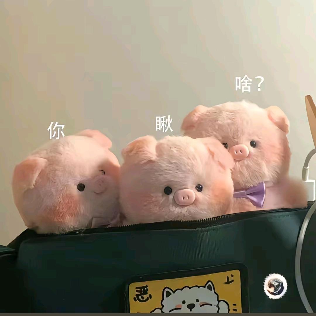 胡一筒潮玩（发发好礼）