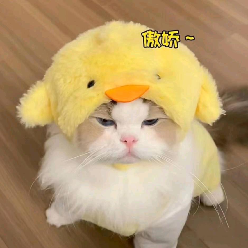 花成四季