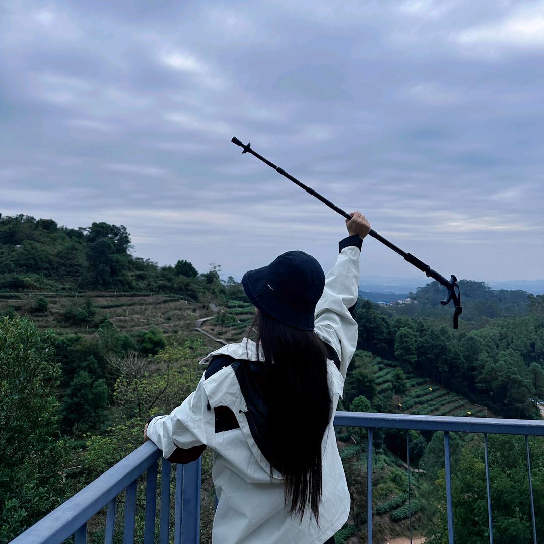 脾气有点江女士