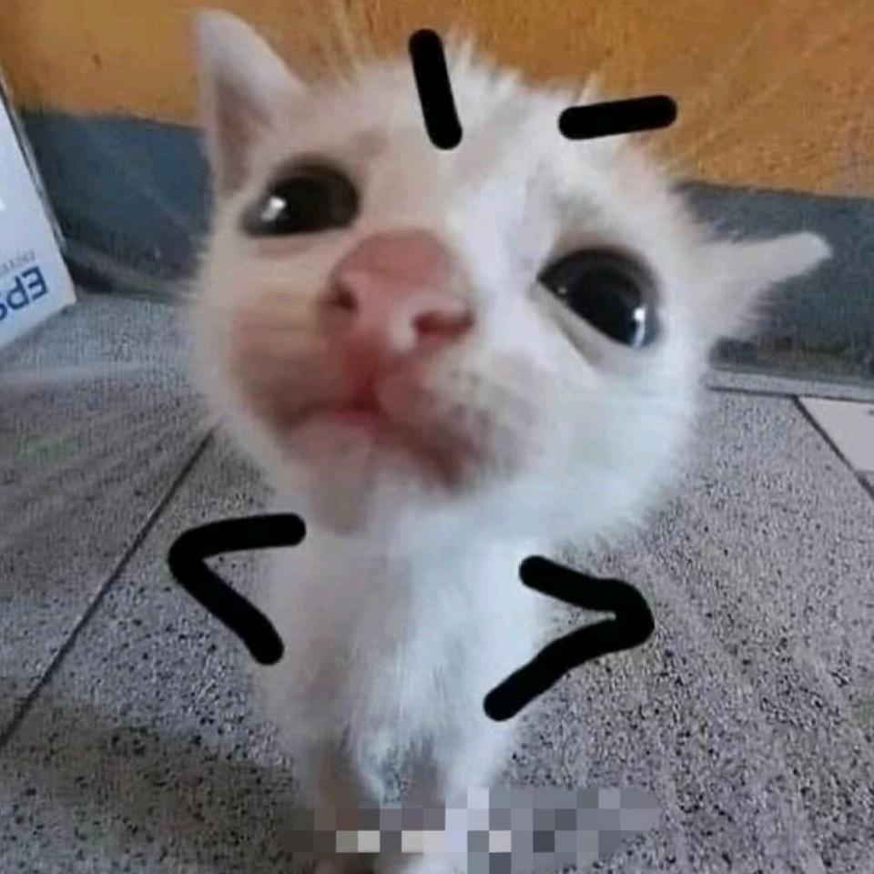 ³.羊果