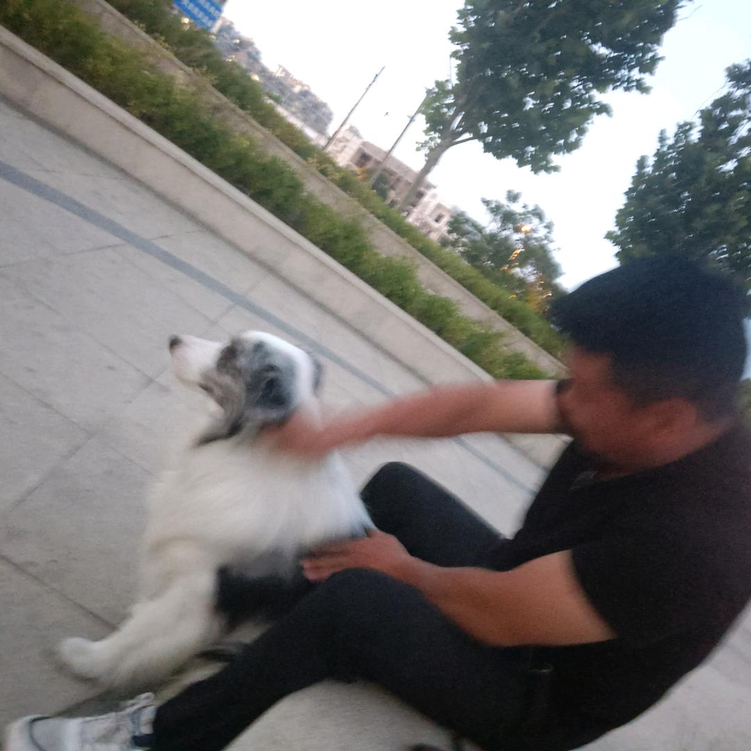 十八木子李