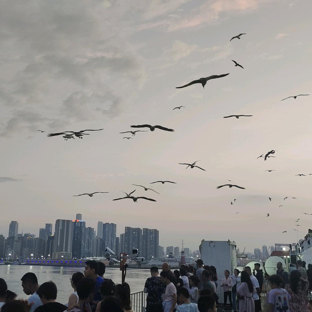 没你不行