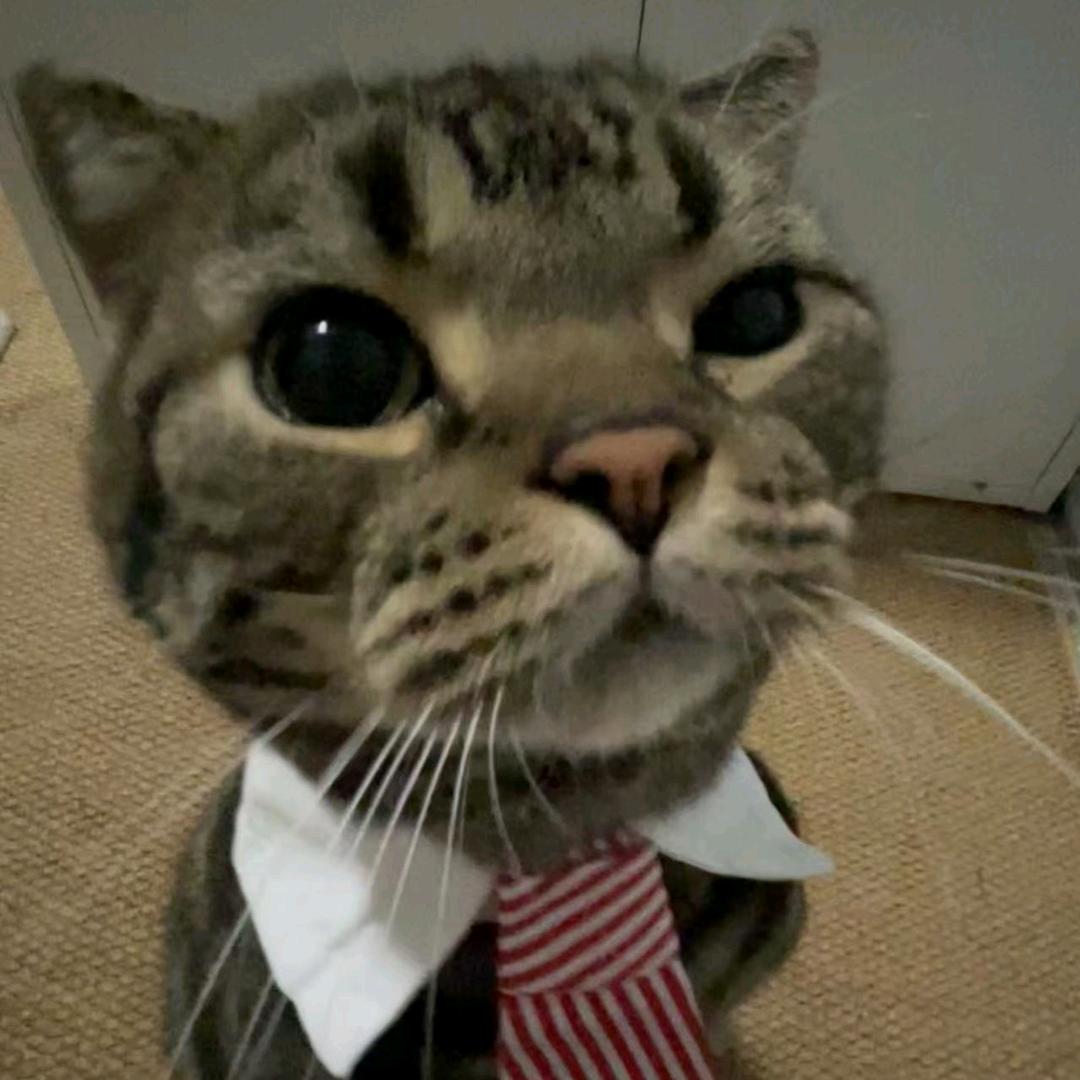 Felix