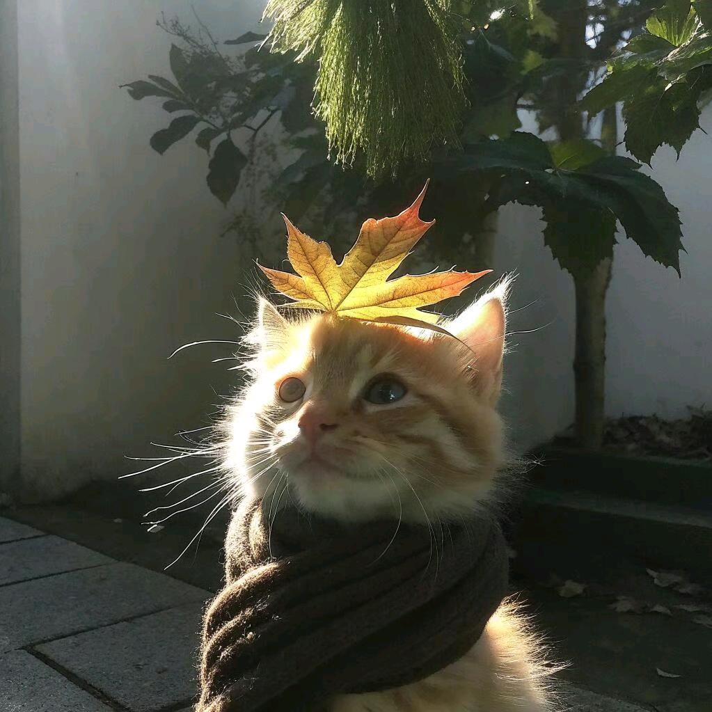 殊一.