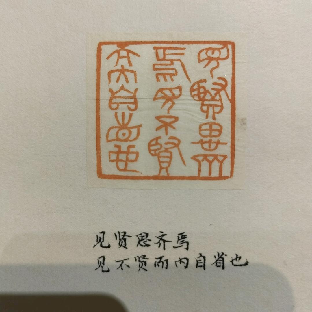 土飞龙