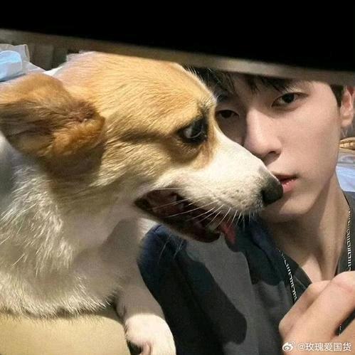 影之诗