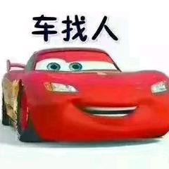 磊子范