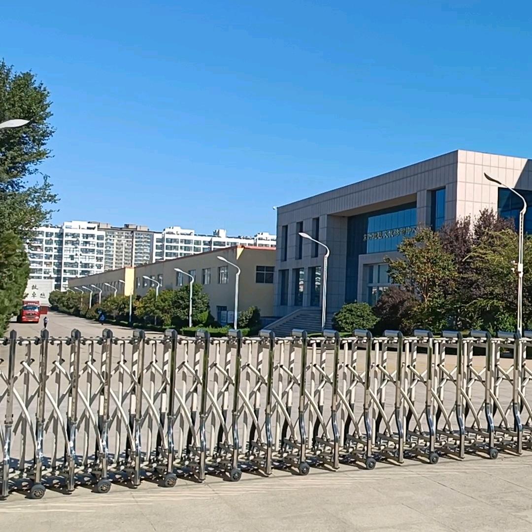 博尔福台球厅专用地毯