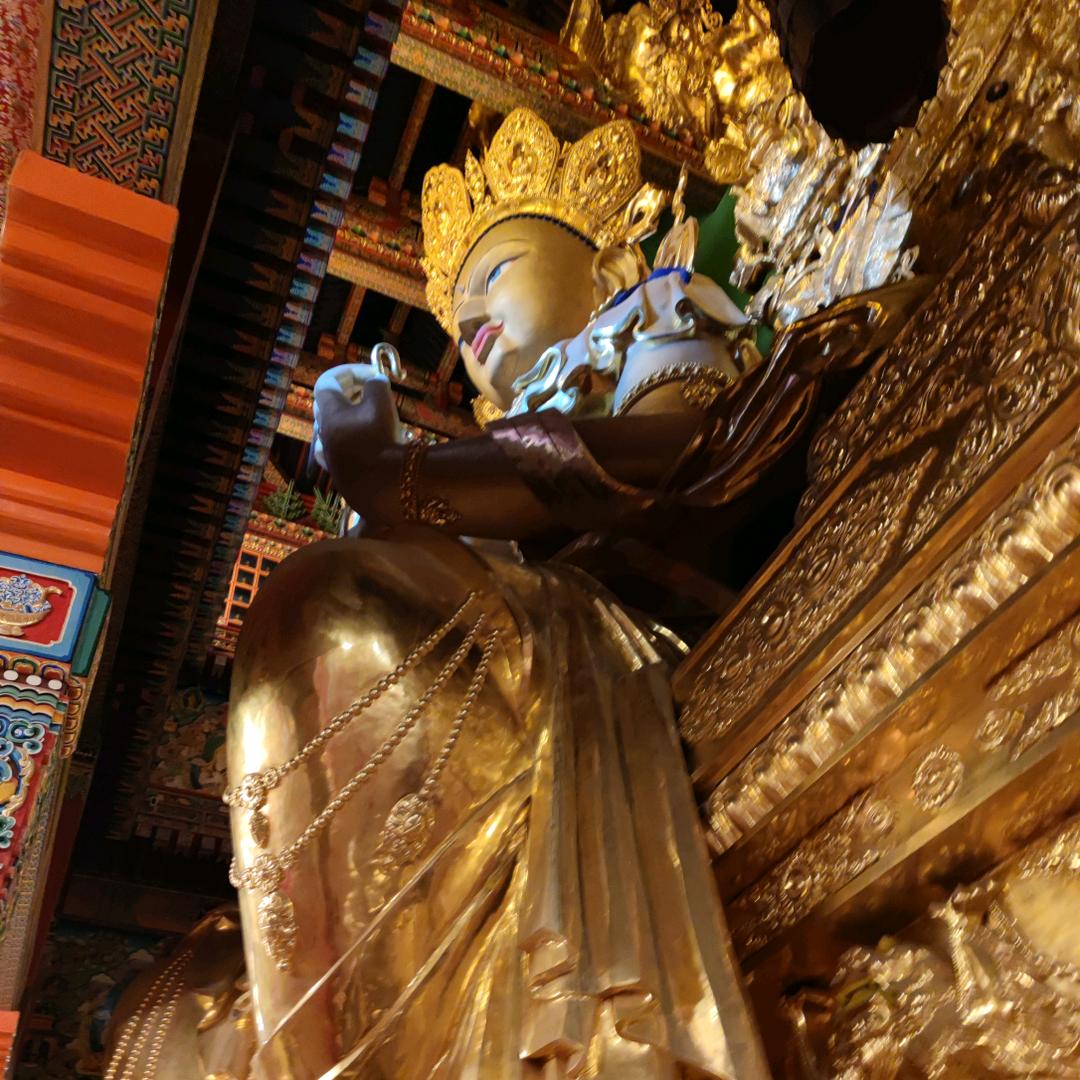 🦈扎西德勒🦅