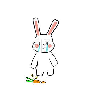 小岛今日房产