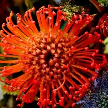 花开花落