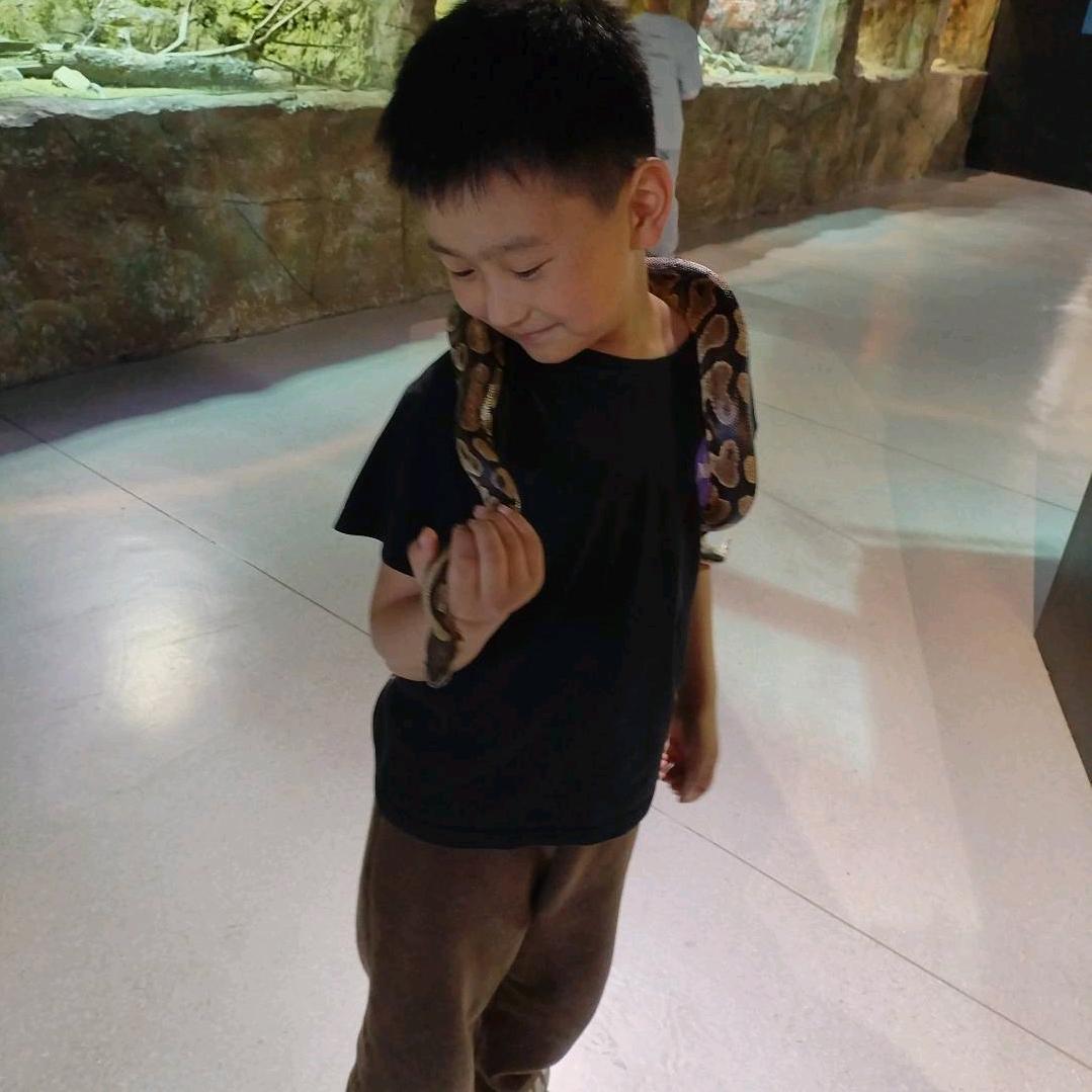 是佳姐呀！