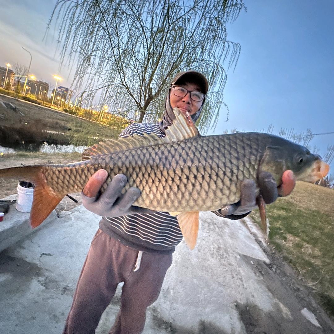 十棵树流水逗钓
