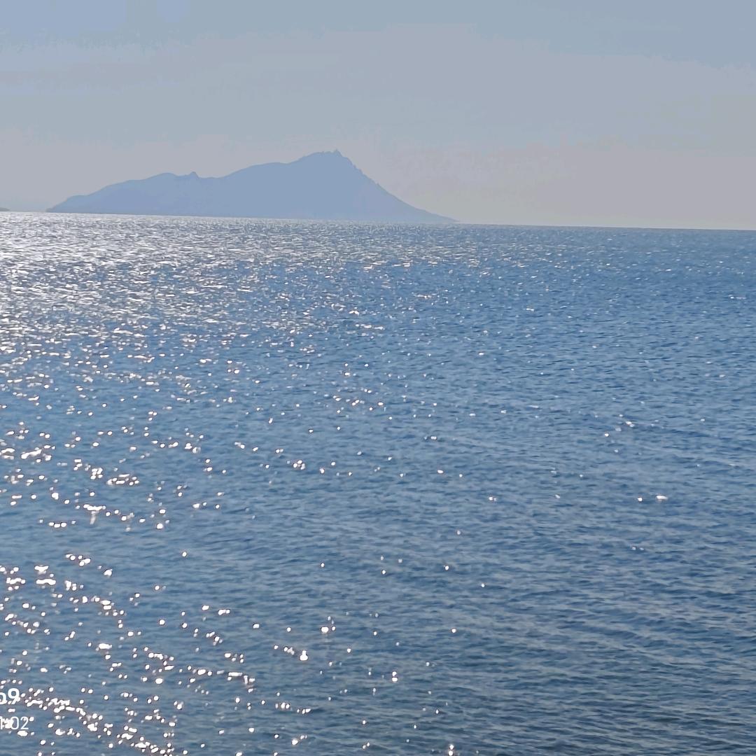 大海✨