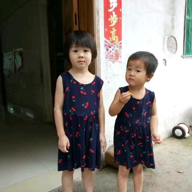 琳与桐