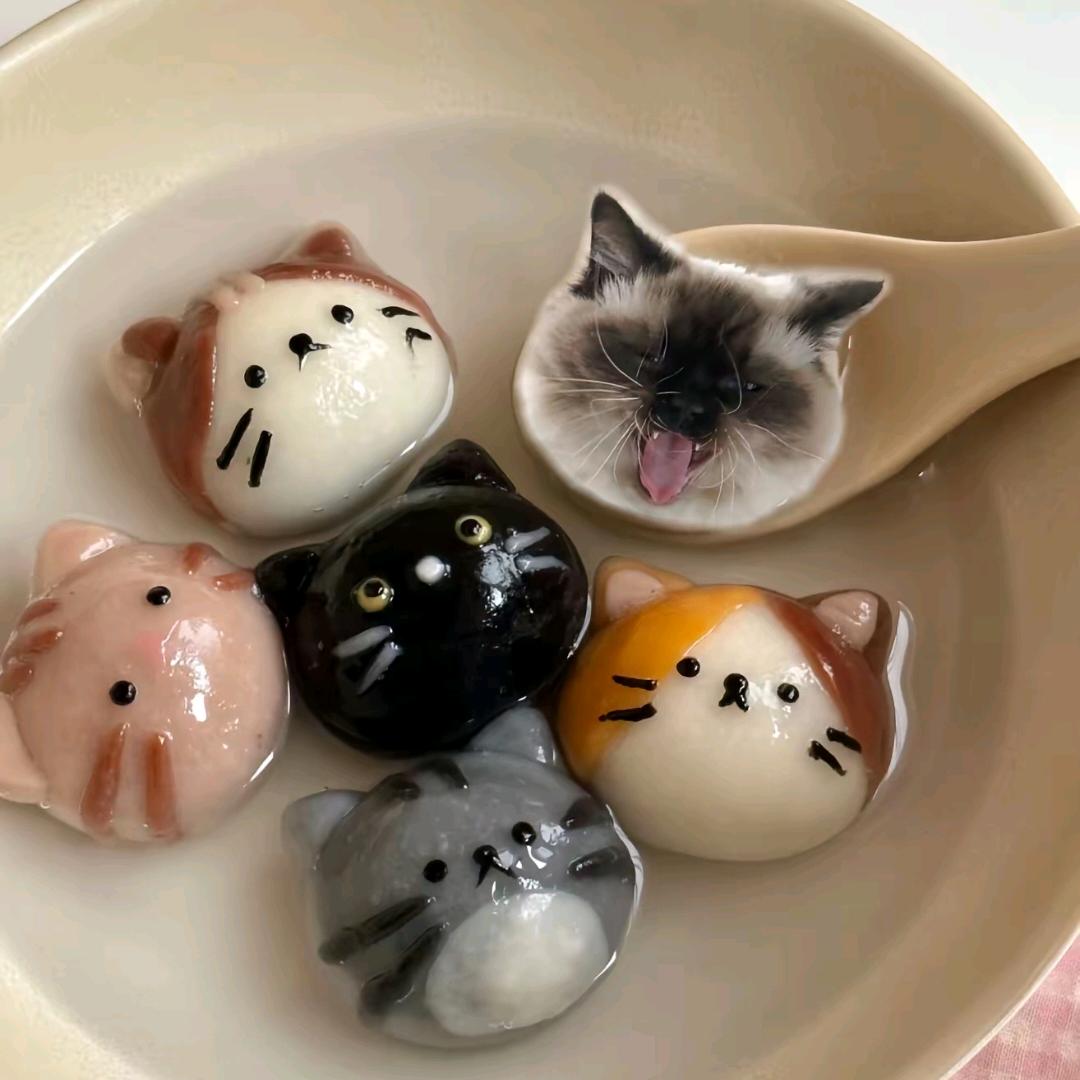 来碗小猫汤圆🧃