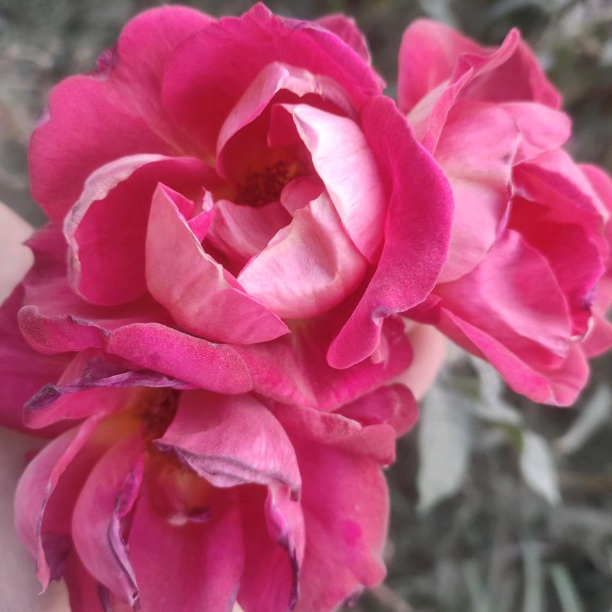 😏😏可爱🐜❌❌❌❌