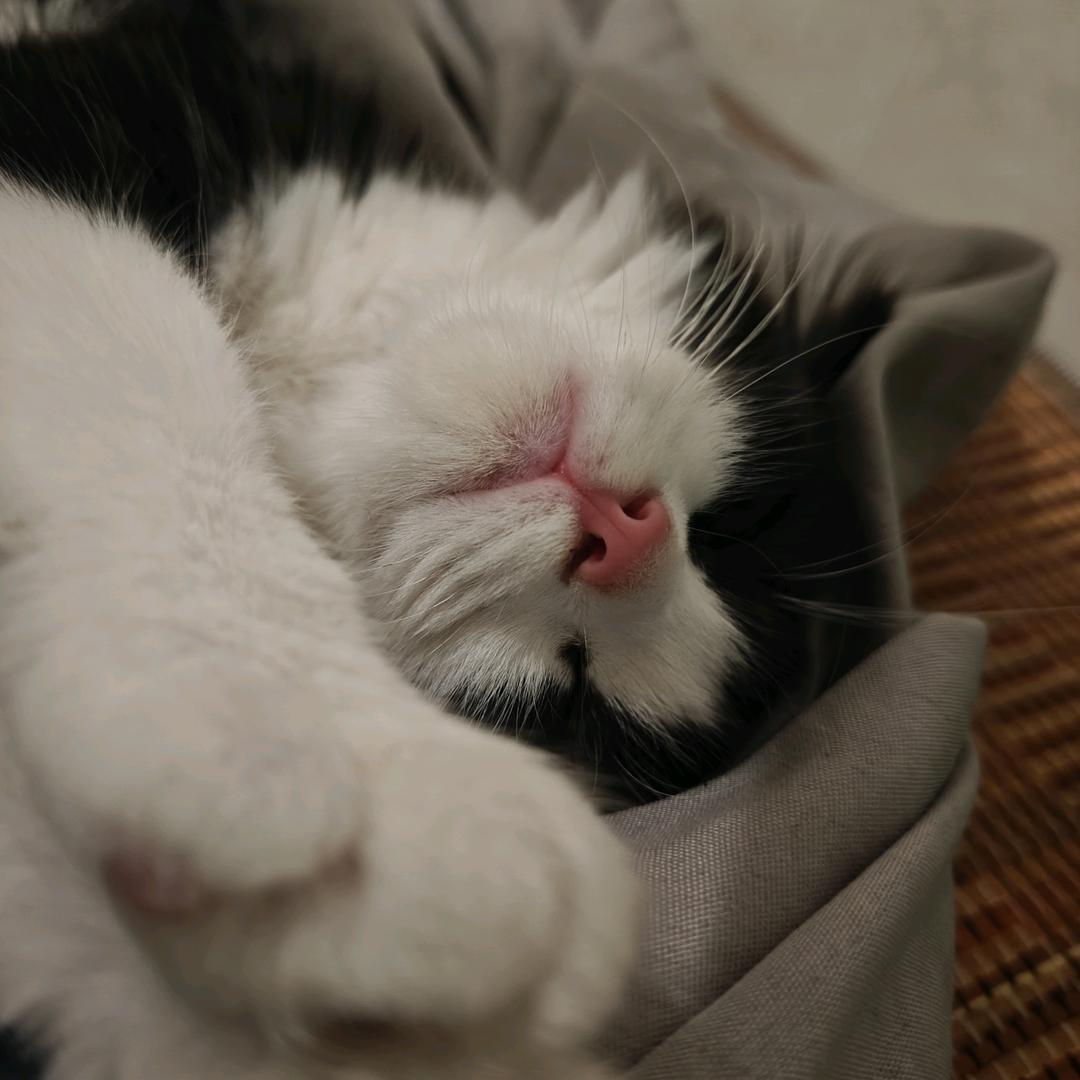 悠悠