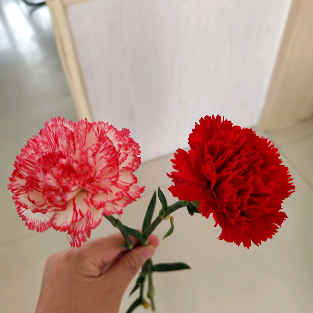 美丽乡村