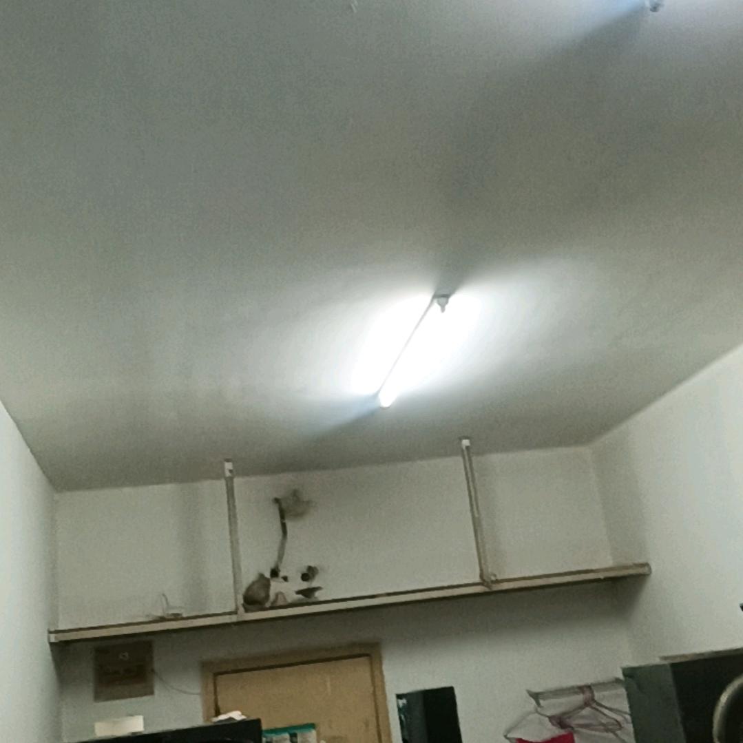 你是我的惟一