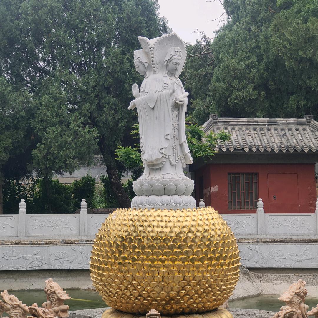 比目鱼