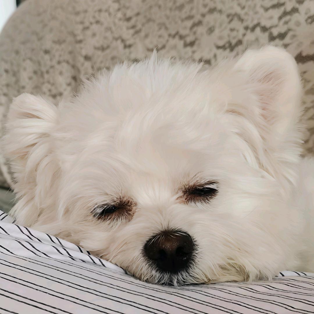 禾鸥