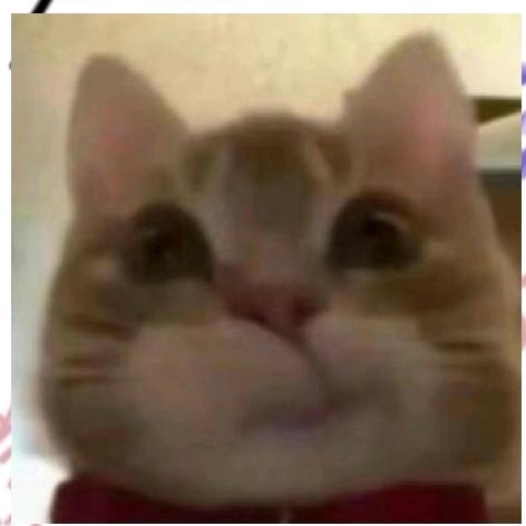 一条粉粉肠