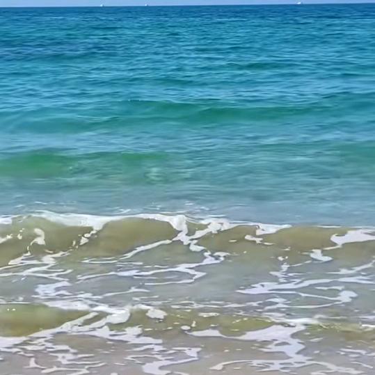 弱竹