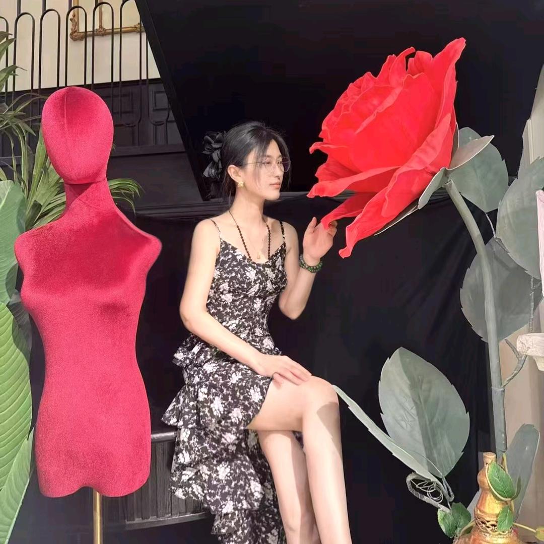 一路升华🌸