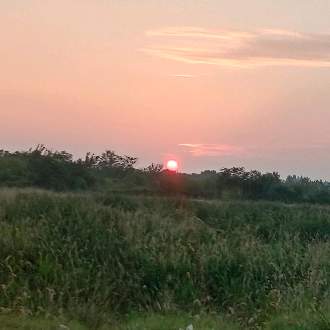 ♬♪ξ珍惜༃༆༇