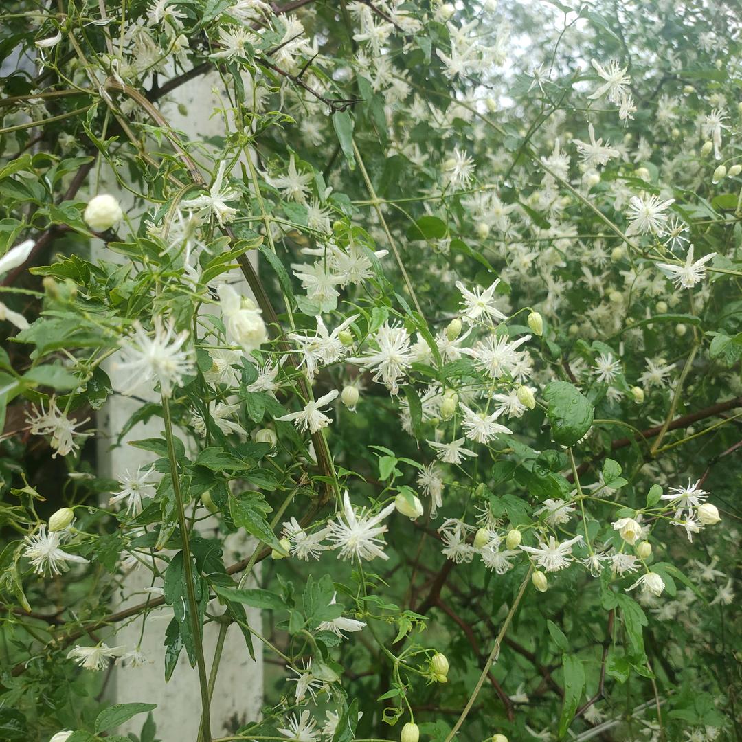 给生活加点*糖*