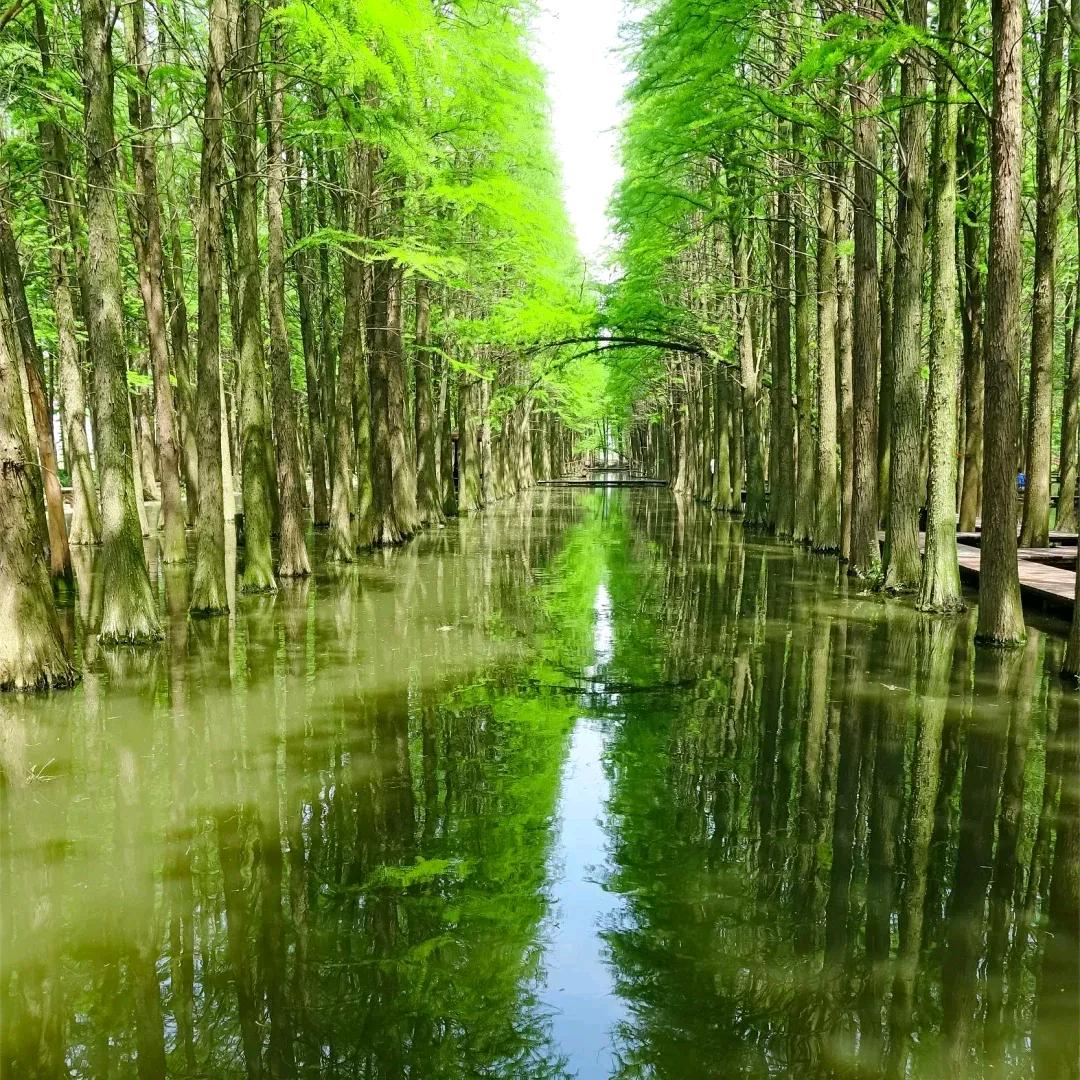 曲水畅怀