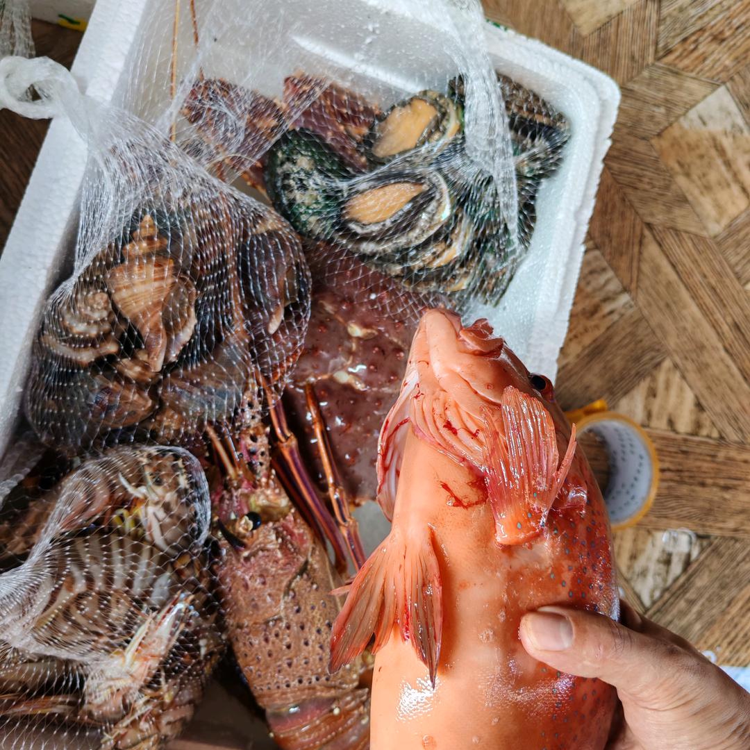 鱼你有缘