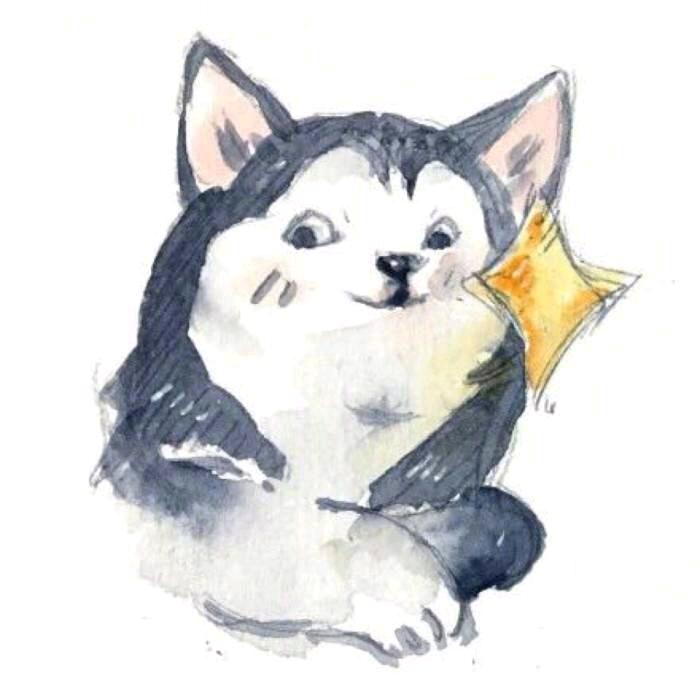 蛙蛙