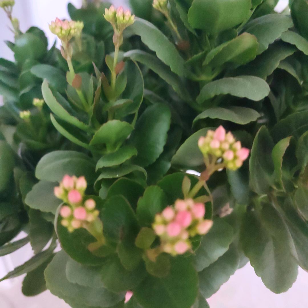 辉泰餐饮小吃