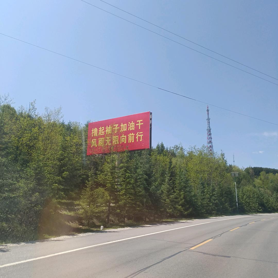 龙泽
