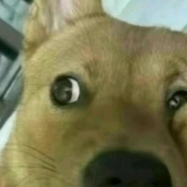 ....