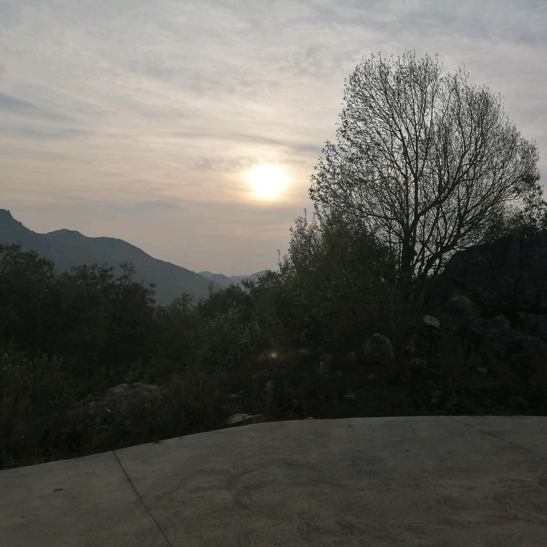 清凉一夏33