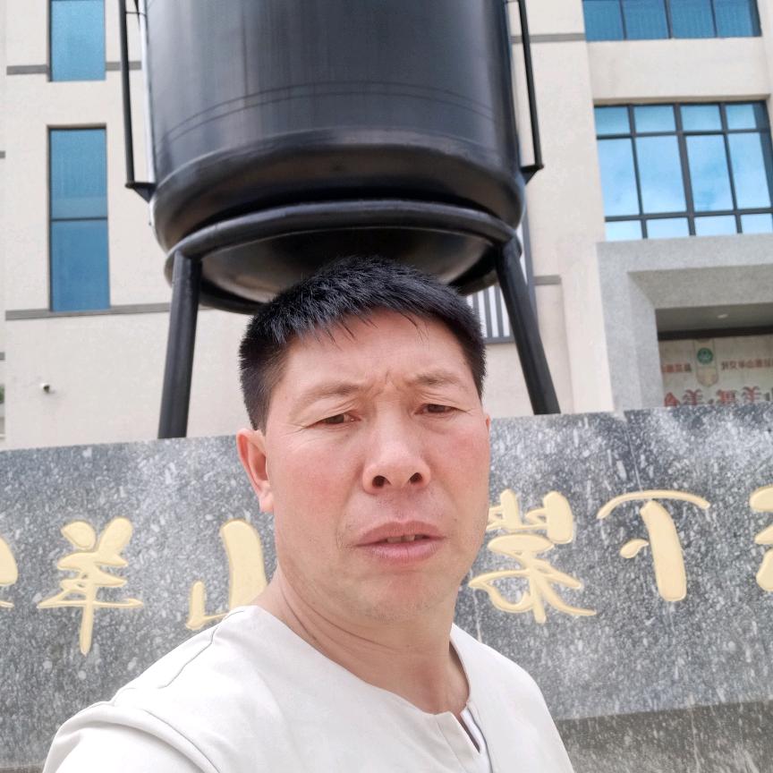 一凡风顺
