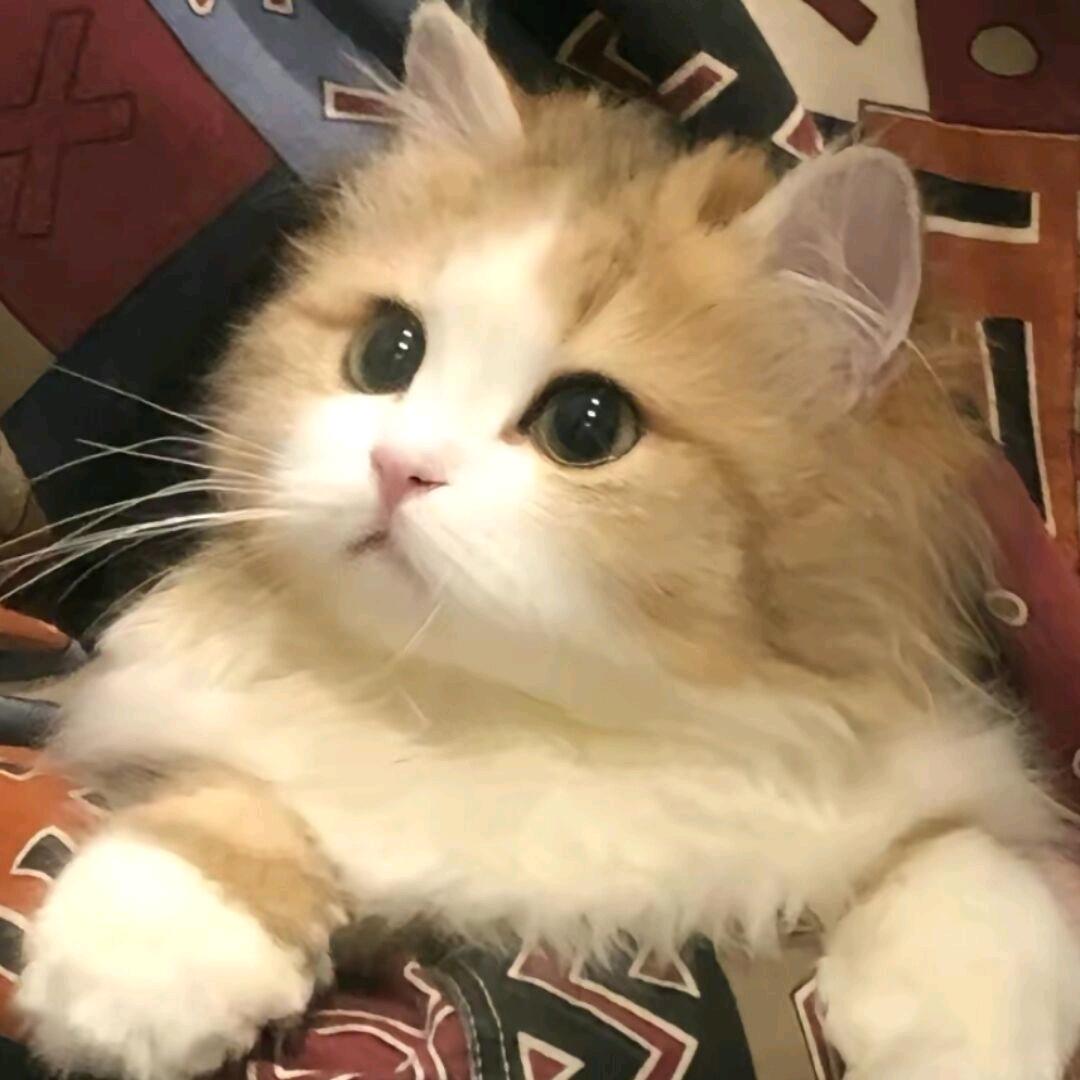 90岁貌美小妈