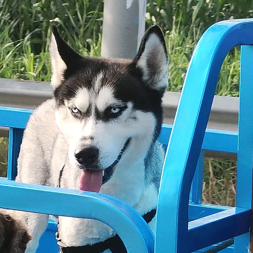 佟岱坤